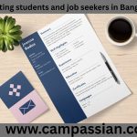 প্রথম সিভি তৈরি গাইড: যা জানা জরুরি